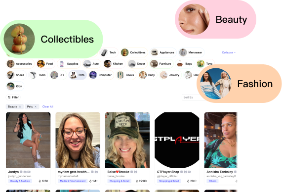 Niche-Based Creator Search